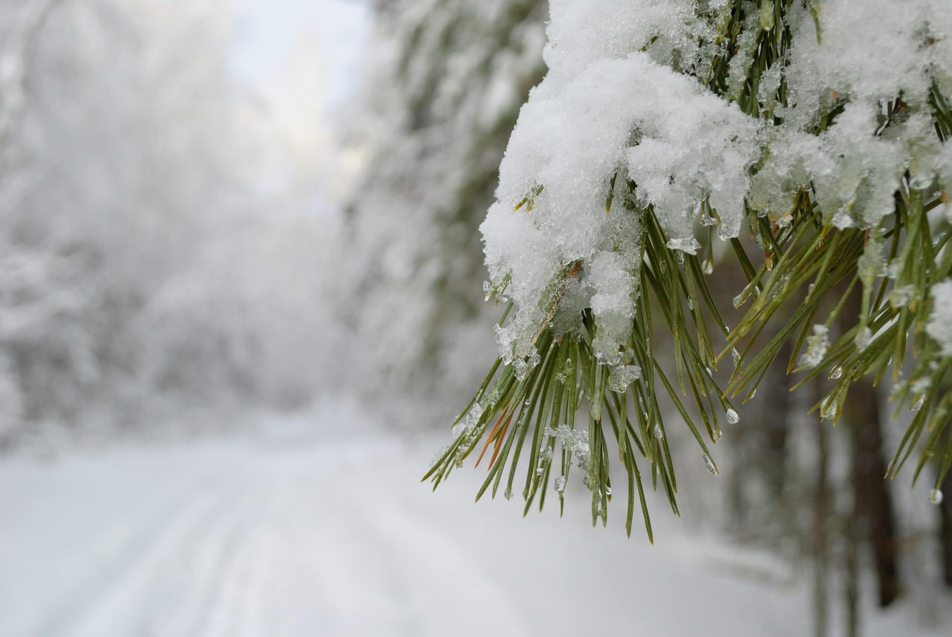 6 Minutes Your Soul Is Craving