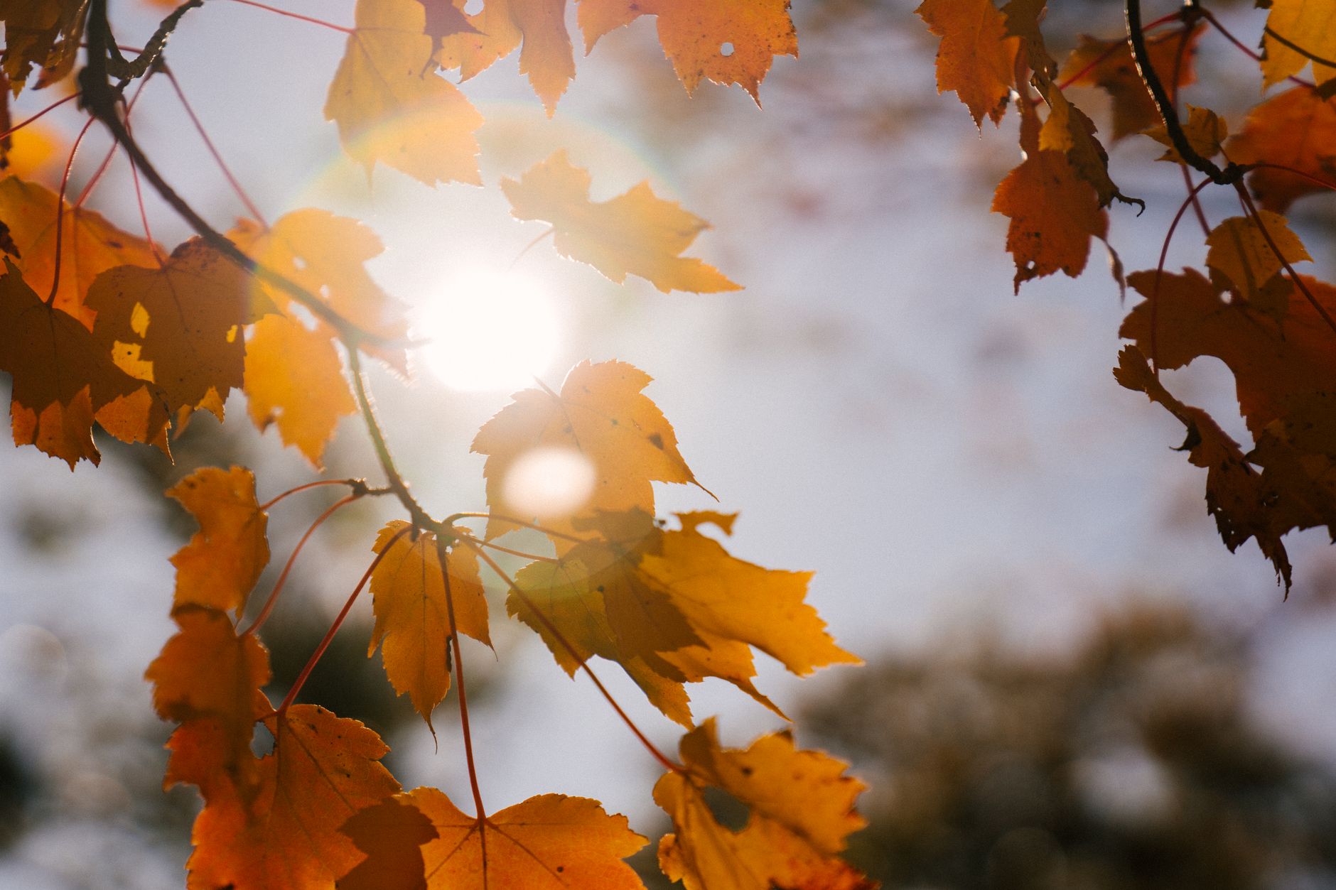 A Quote, A Sermon, and Some Exciting News